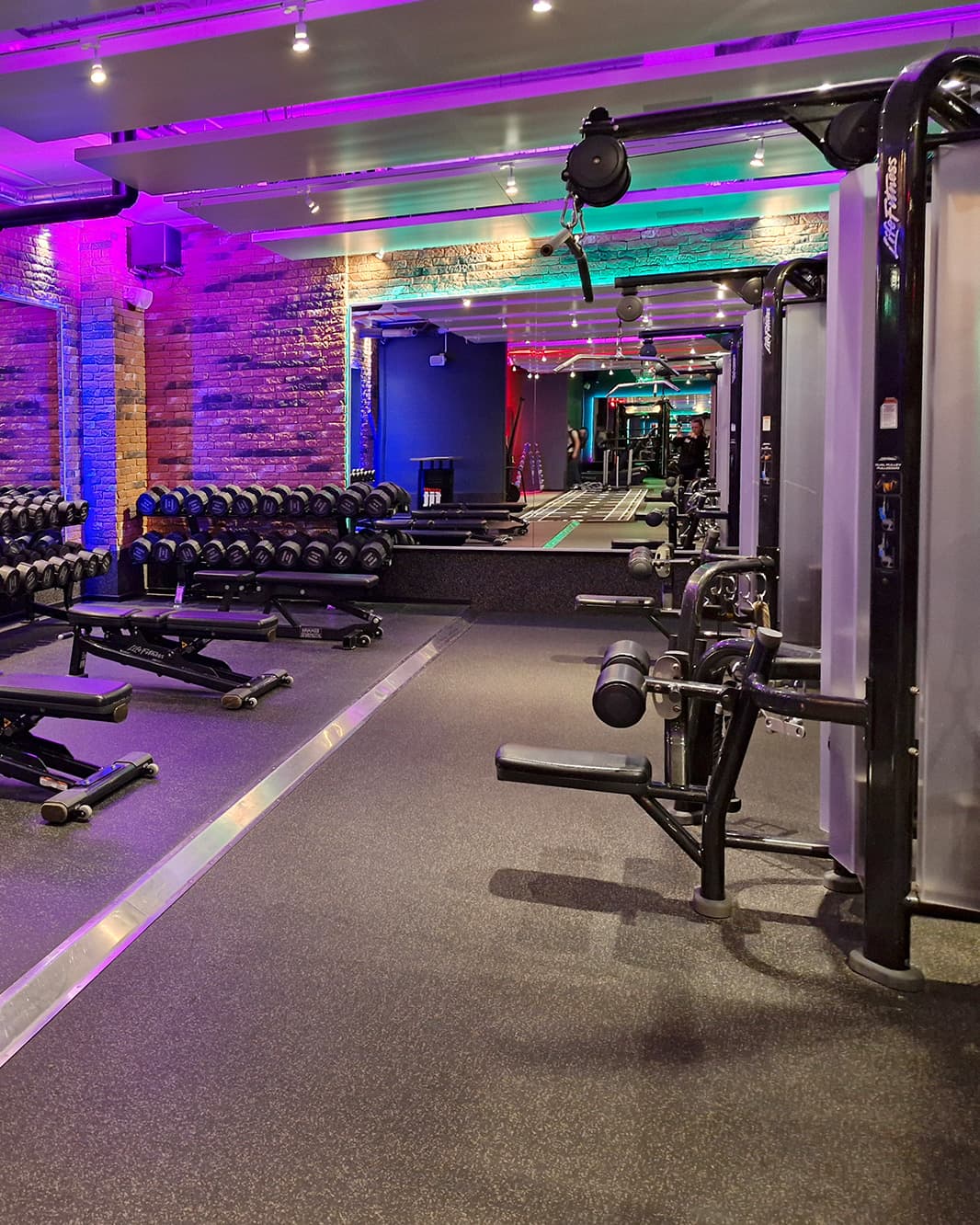 Freihantelbereich mit Kurzhanteln, Trainingsbänken und Fitnessgeräten im clever fit bei The Yards.