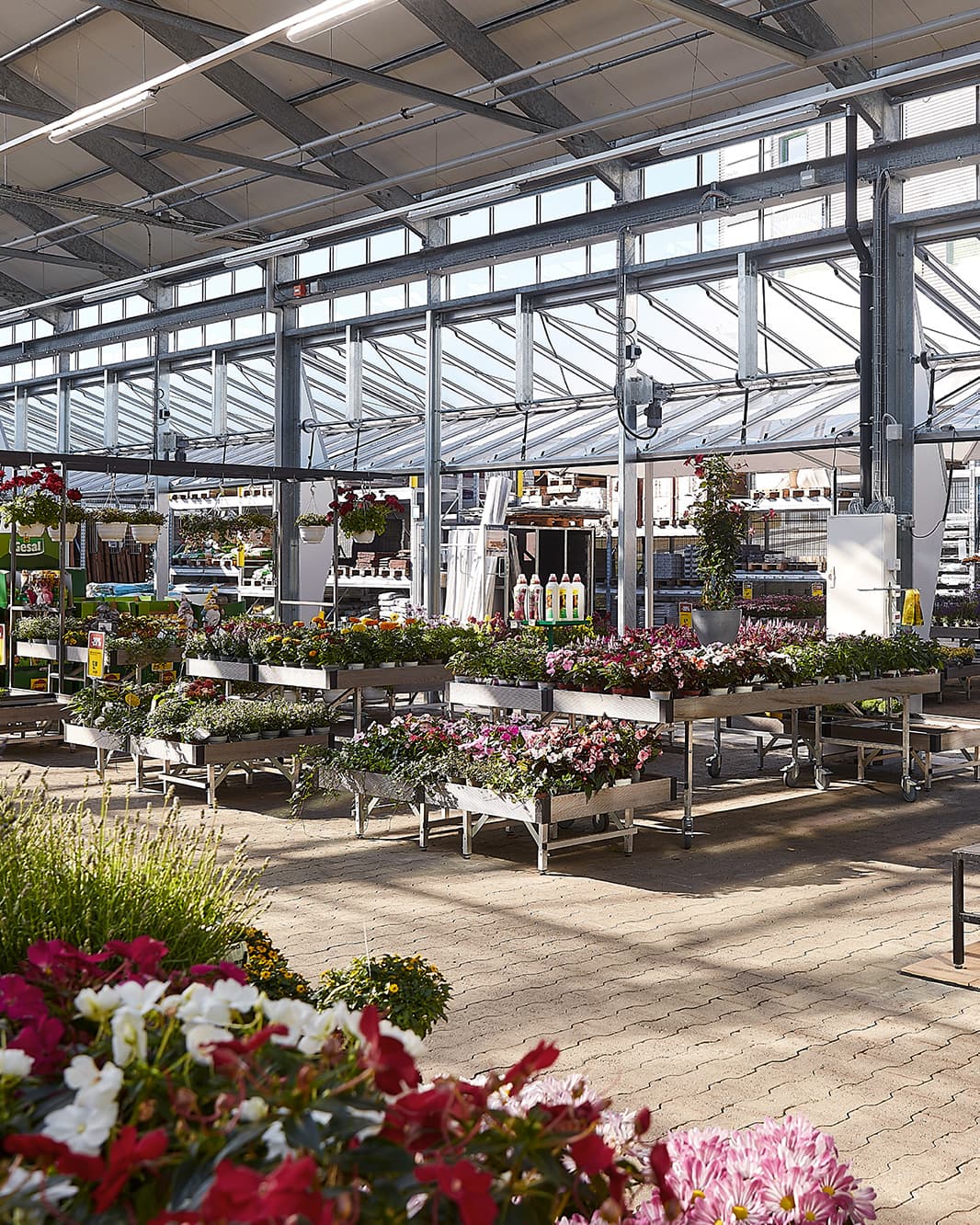 Blühende Blumen und Pflanzen im Gartencenter von JUMBO bei The Yards in Rümlang.