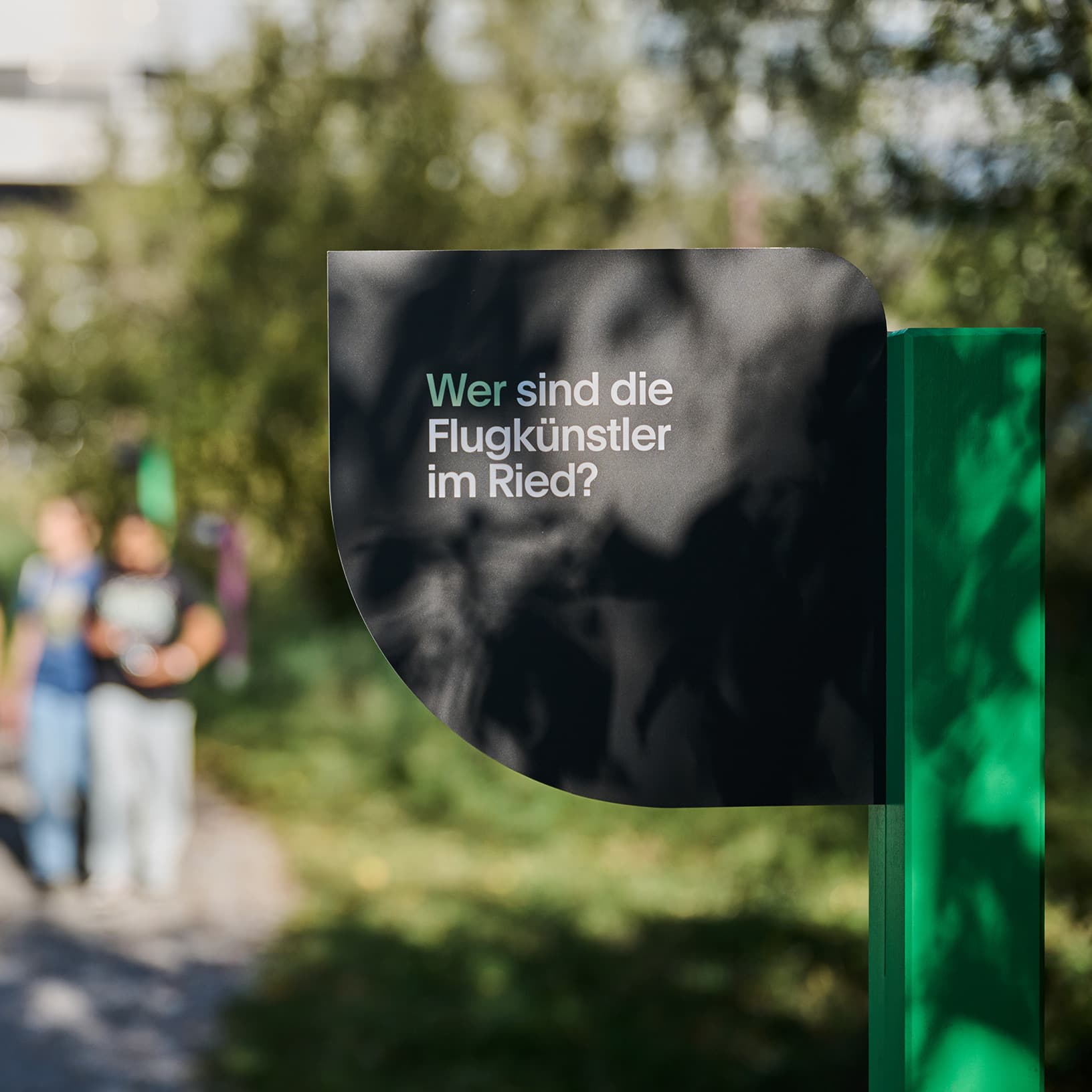 Die Flugkünstler im Ried – Informationstafel